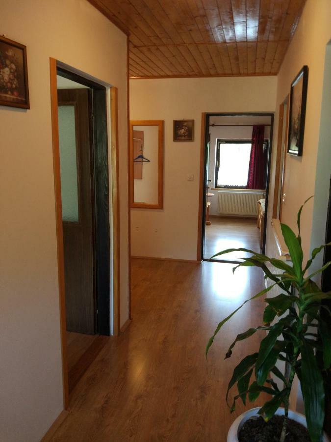 Apartment Jelena Seliste Dreznicko Ngoại thất bức ảnh